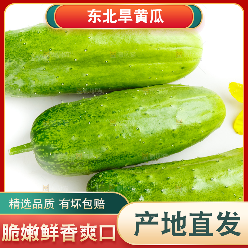 白底上放着新鲜旱黄瓜