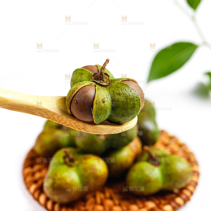 草垫子上的茶油籽