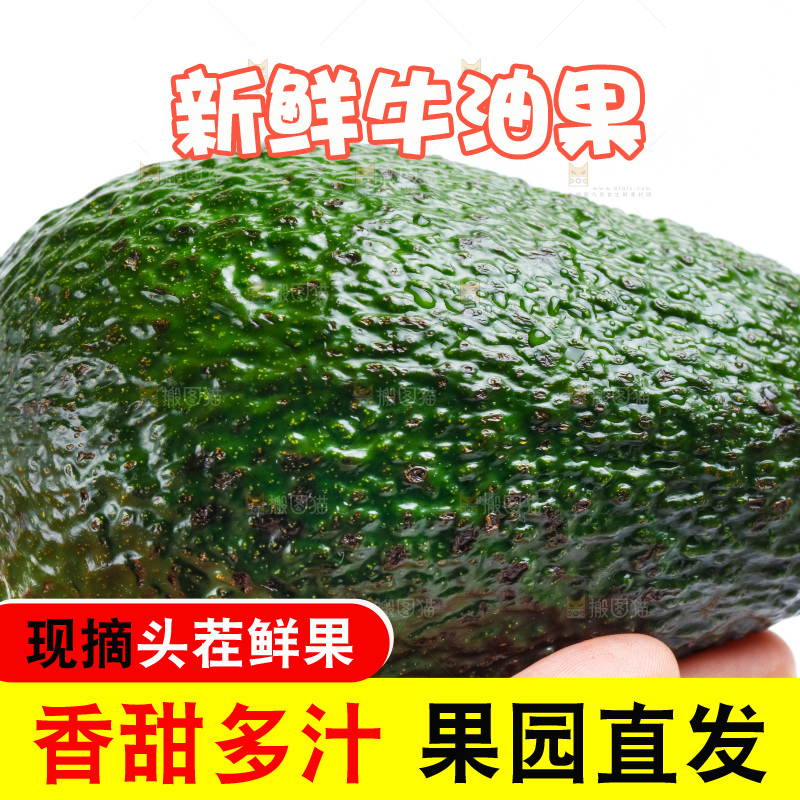 手拿墨西哥牛油果