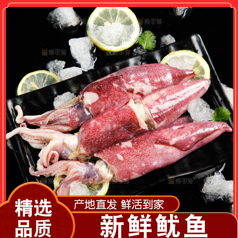 深底上放着生鲜鱿鱼