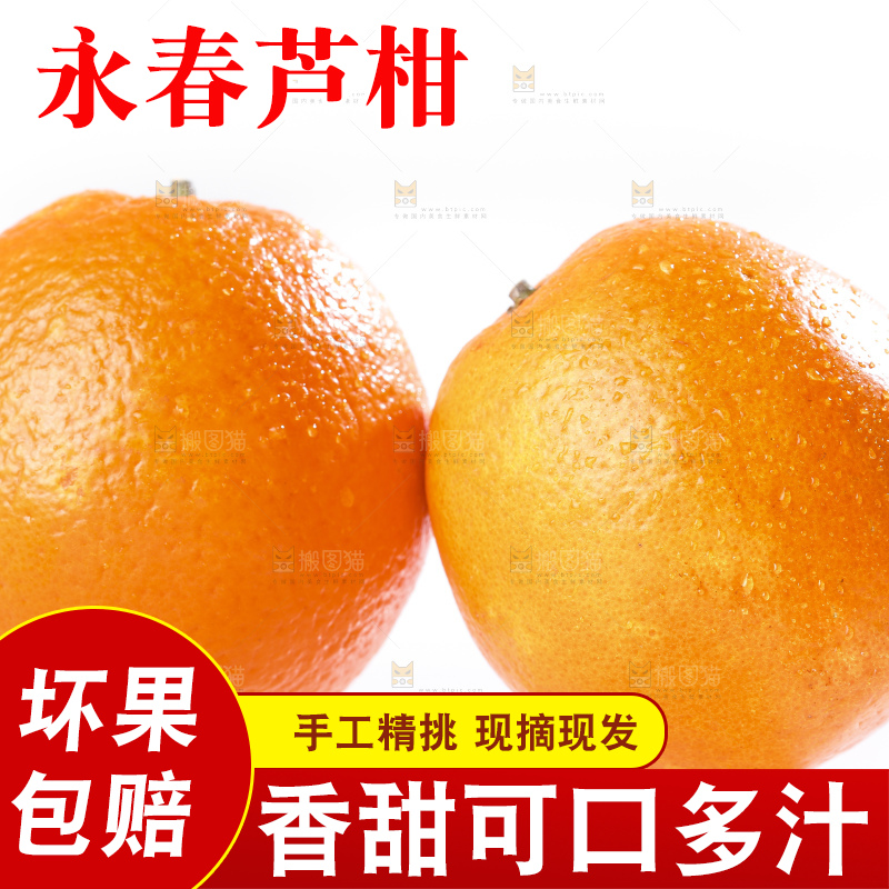 白底上的芦柑