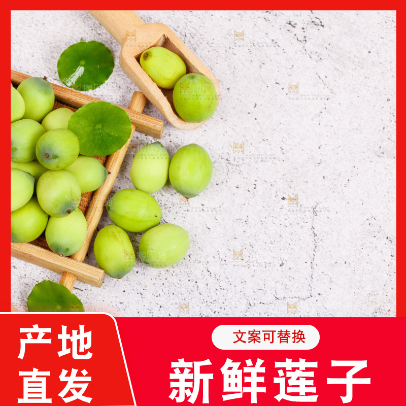 石板上的新鲜莲子