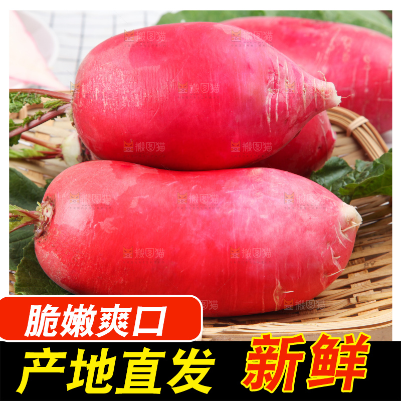 白格子底上的湖北红皮萝卜