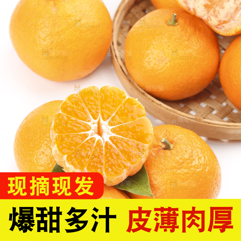 白底上的椪柑橘