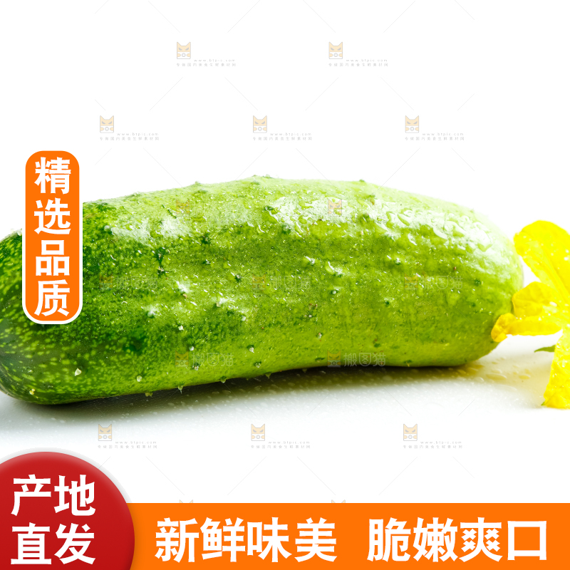 白底上的小黄瓜