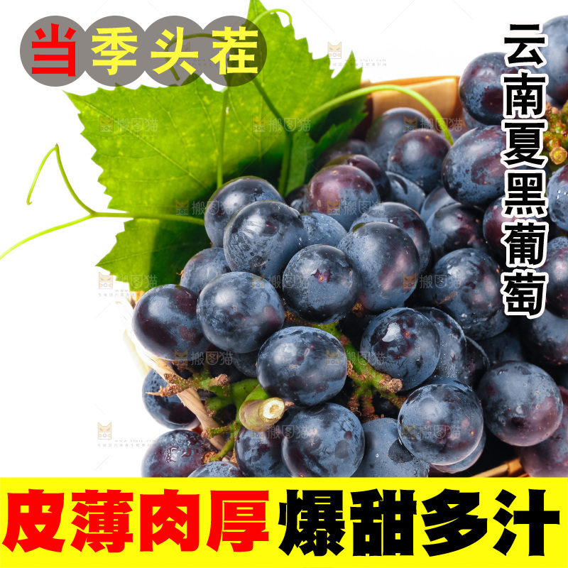 一筐新鲜夏黑放在白底上