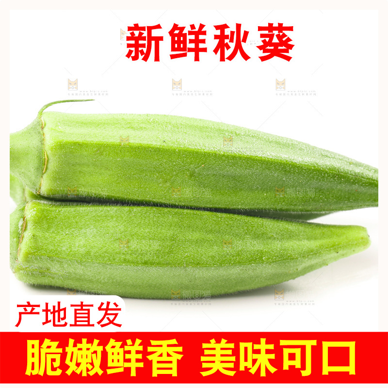 白底上的新鲜秋葵