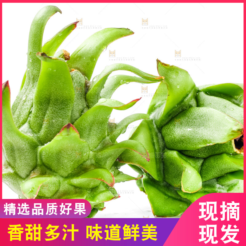 白底上的火龙果