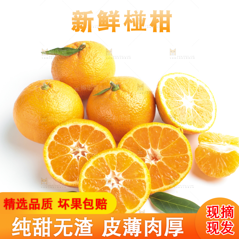 白底上的椪柑