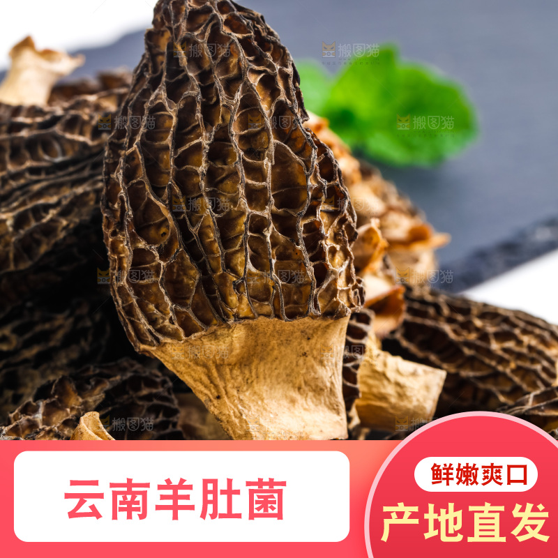 干羊肚菌放在浅底上