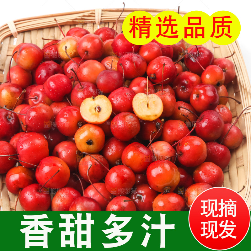 白底上放着东北海棠果