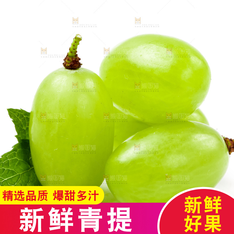 白底上放着新鲜青提