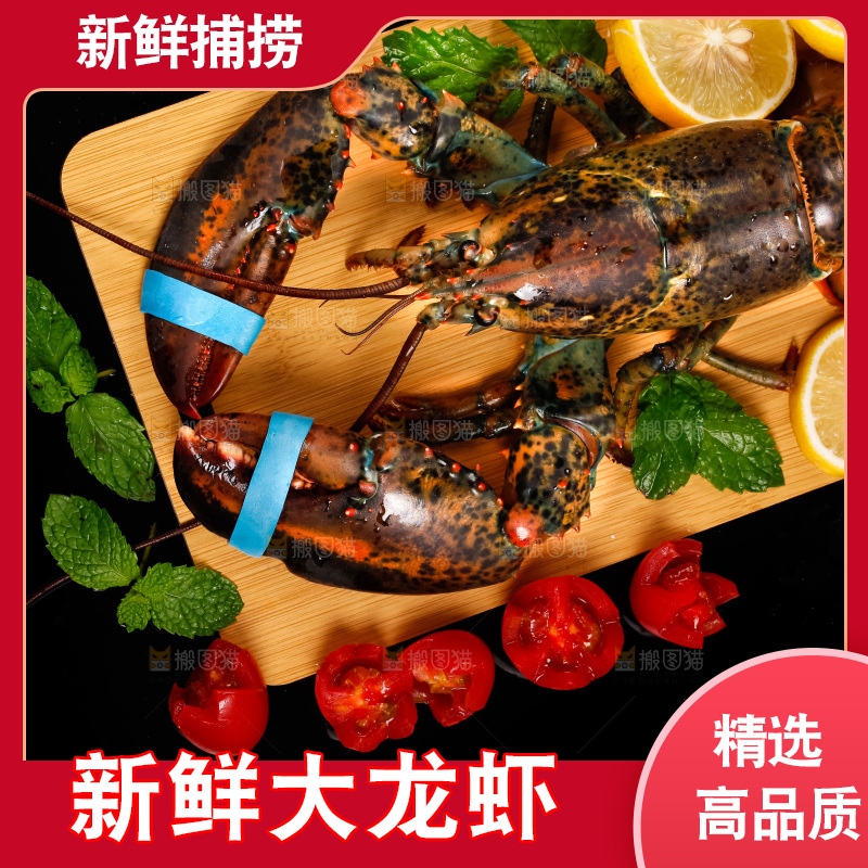 黑底上的波士顿龙虾