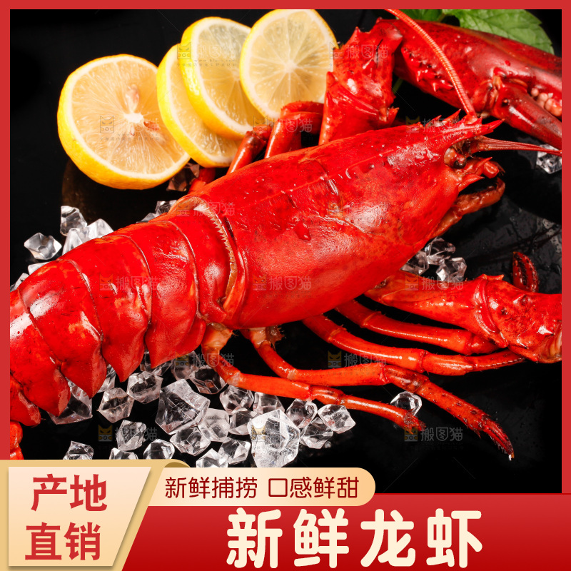 黑底上放着波士顿大龙虾