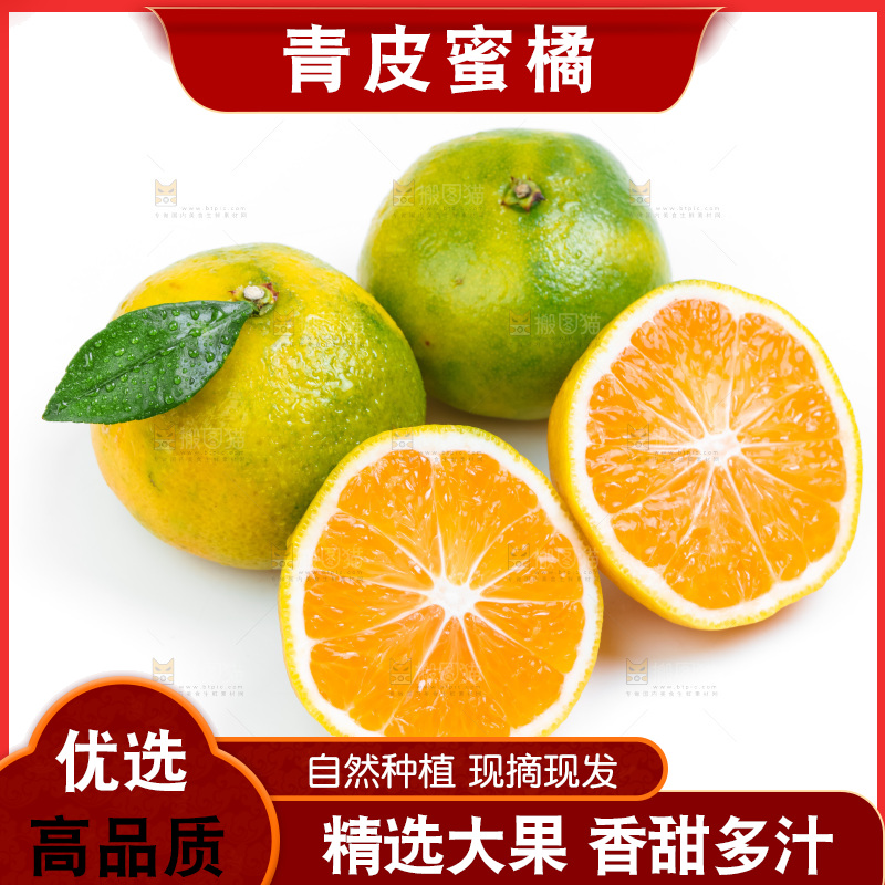 新鲜的青皮蜜橘放在白底上