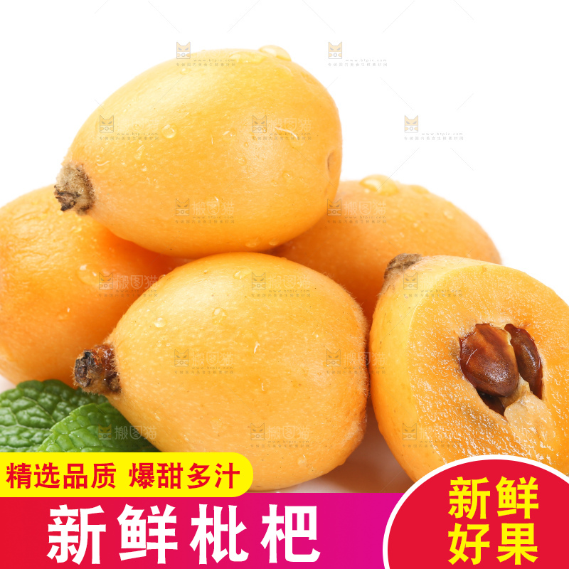 白底上的枇杷