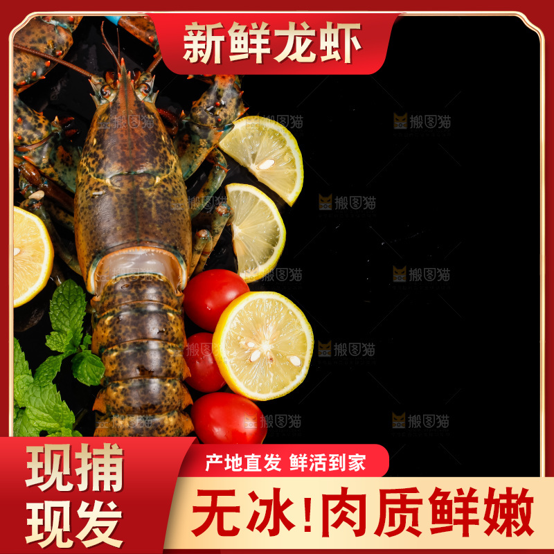 黑底上放着波士顿龙虾