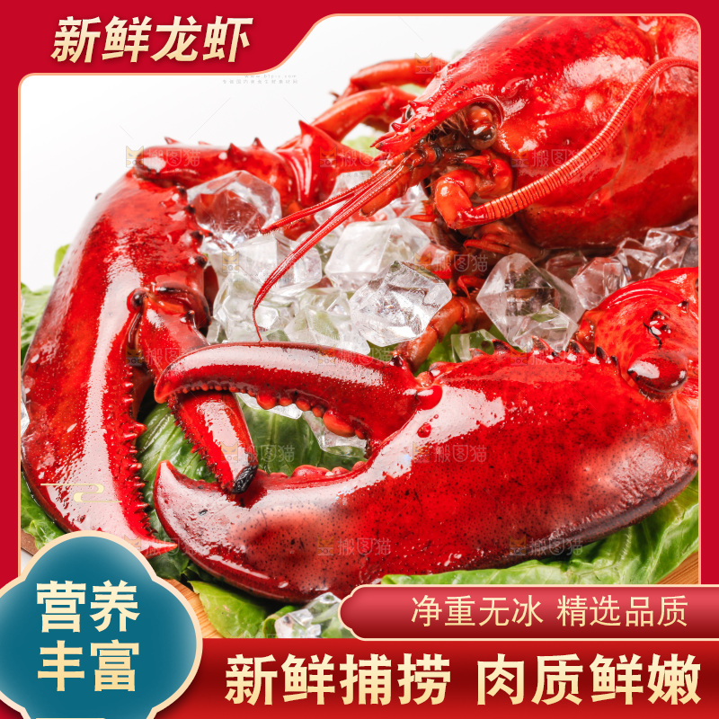 白底上放着一盘波士顿大龙虾