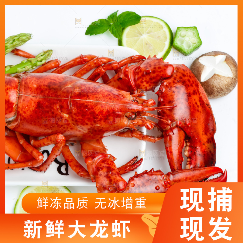 白底上放着一盘大龙虾