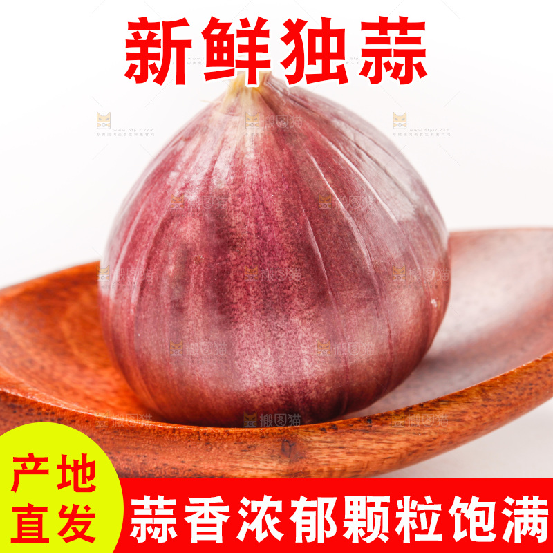 浅底上的独蒜