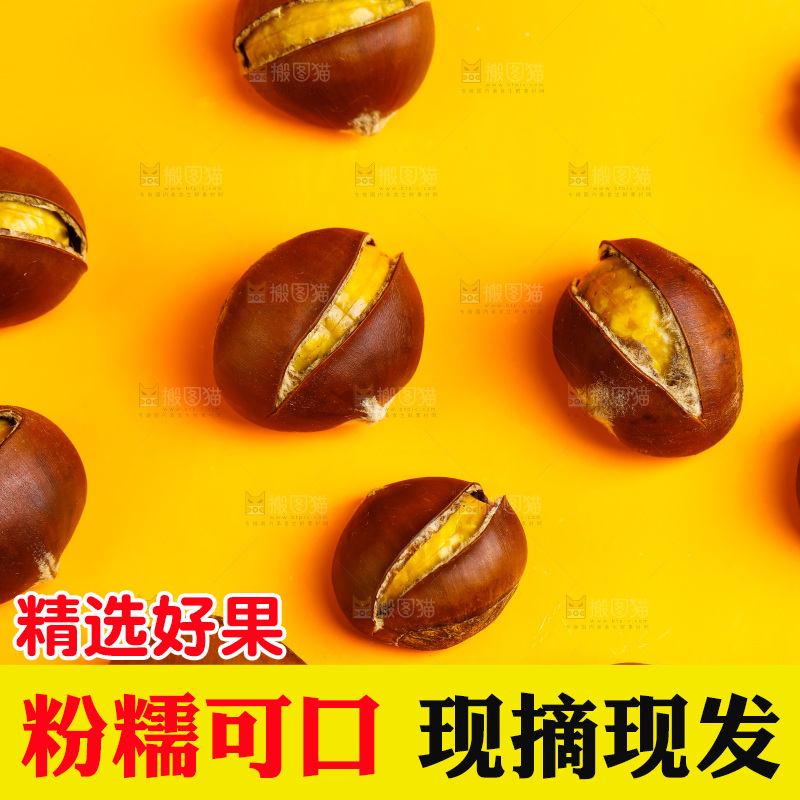 黄底上的迁西板栗