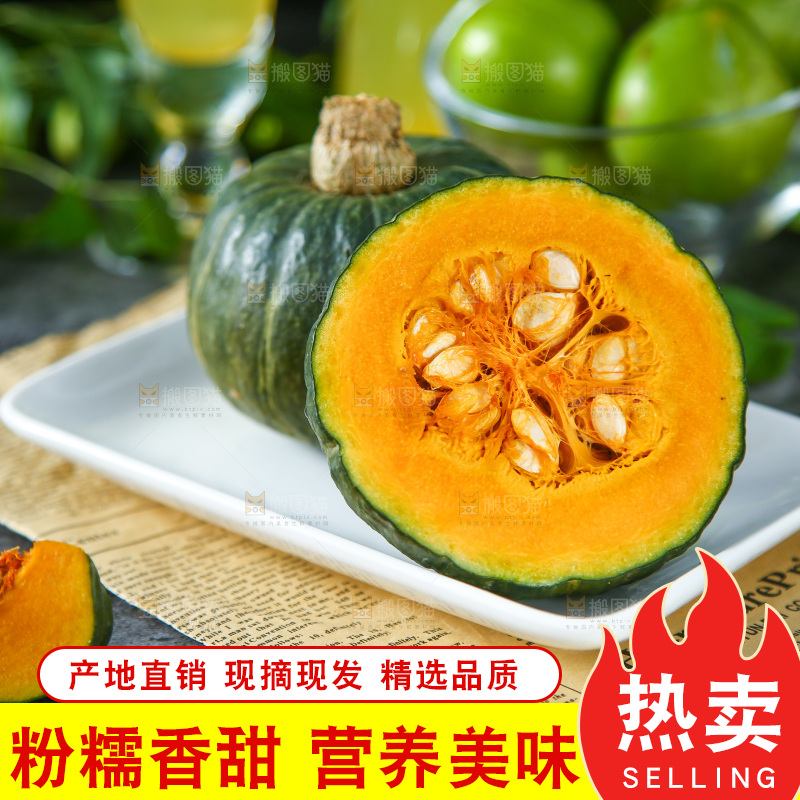 石板上的真贝贝南瓜