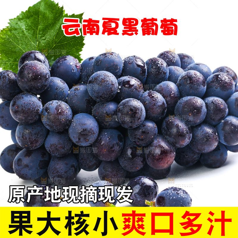 白底上的夏黑