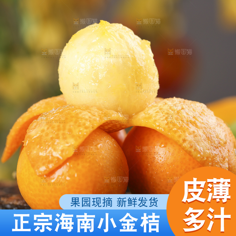木底上放着新鲜金钱桔