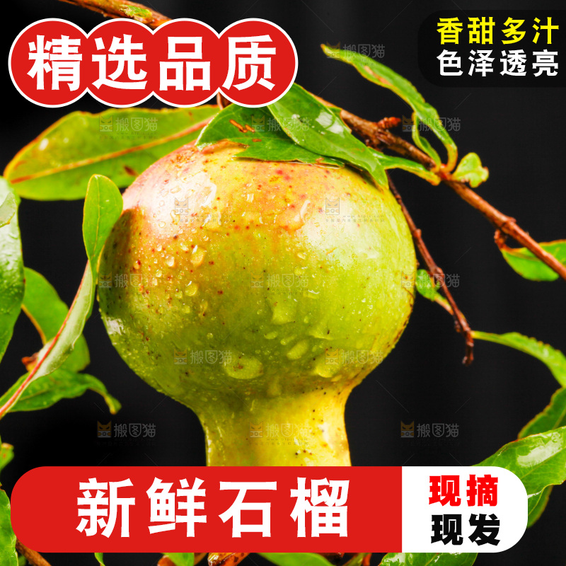 黑底上放着软籽石榴