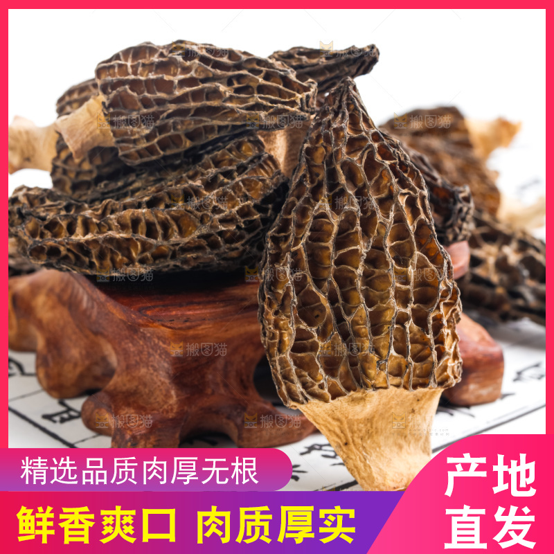 浅底上的云南羊肚菌