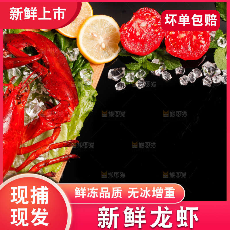 黑底上放着一盘澳洲大龙虾
