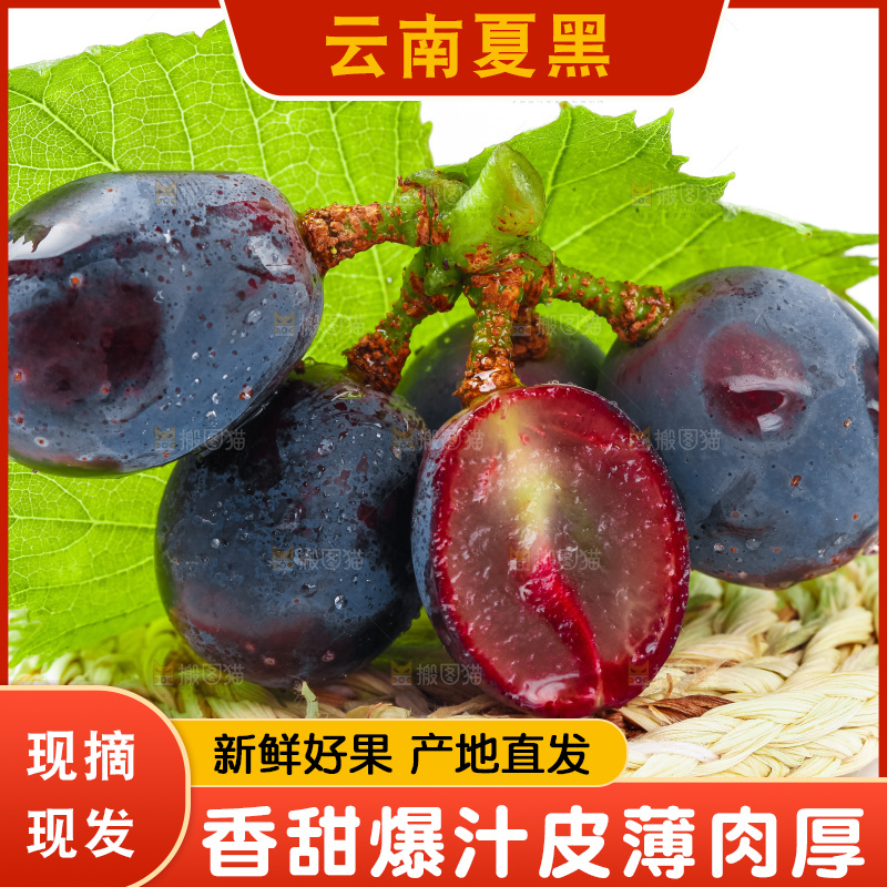 夏黑葡萄放在白底上