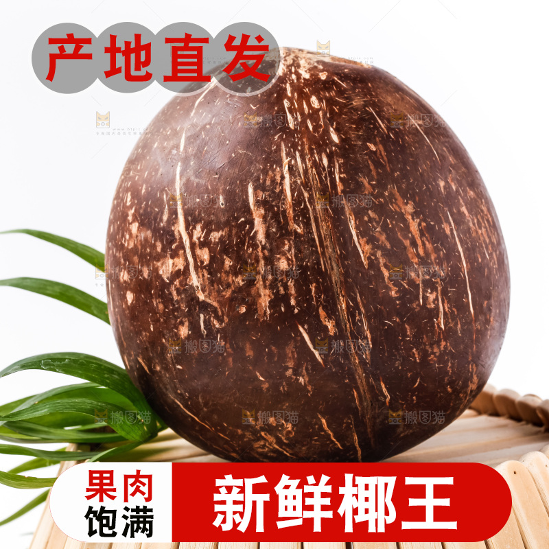 白底上放着椰王