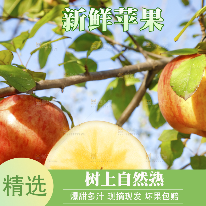 手里拿着阿克苏冰糖心苹果
