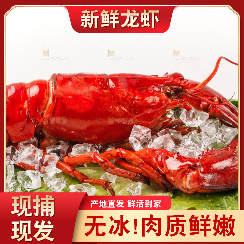 白底上放着一盘波士顿大龙虾