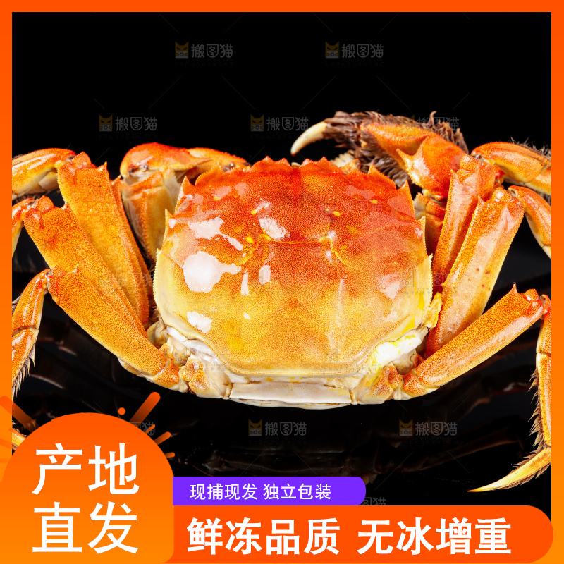 黑底上放着清蒸螃蟹