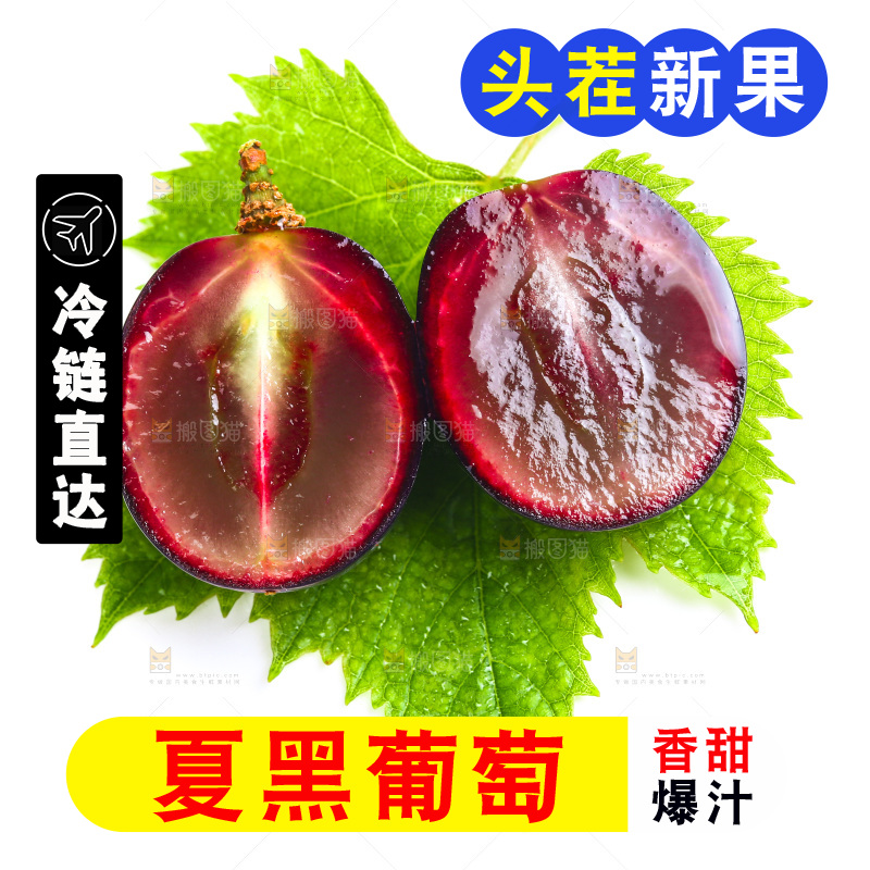 云南夏黑葡萄放在白底上