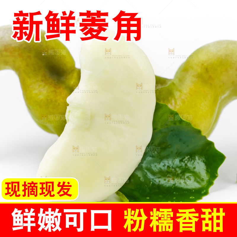 白底上放着洪湖菱角