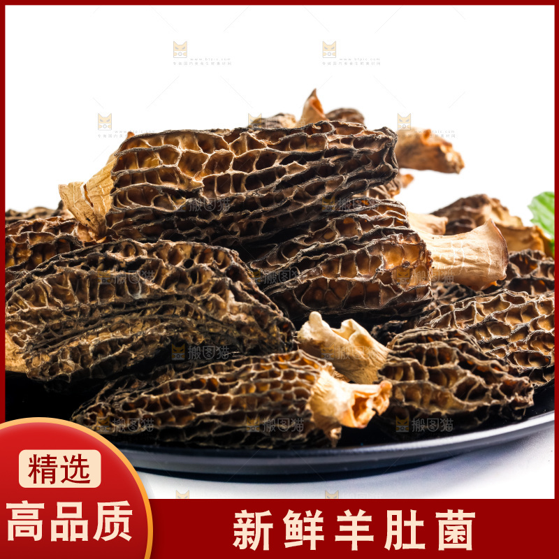 一盘干羊肚菌放在白底上
