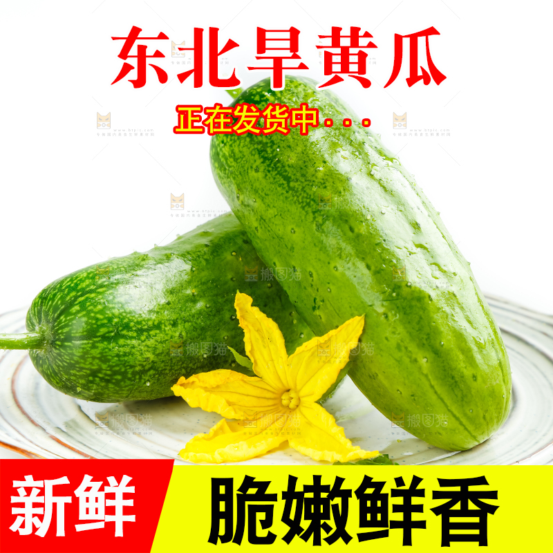 盘子里的东北旱黄瓜