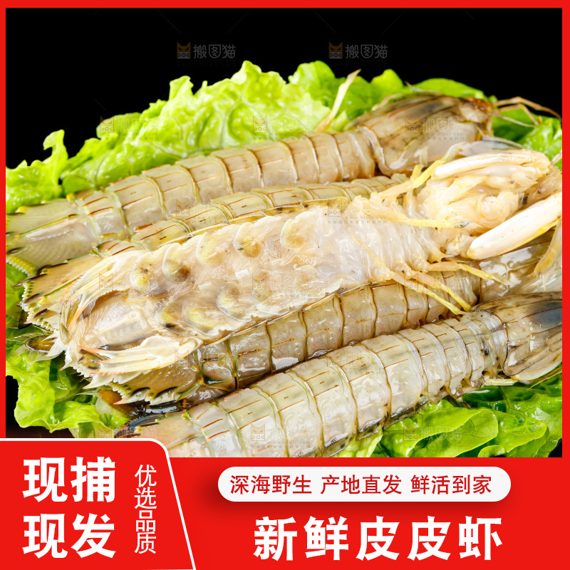 黑底上摆放着舟山皮皮虾