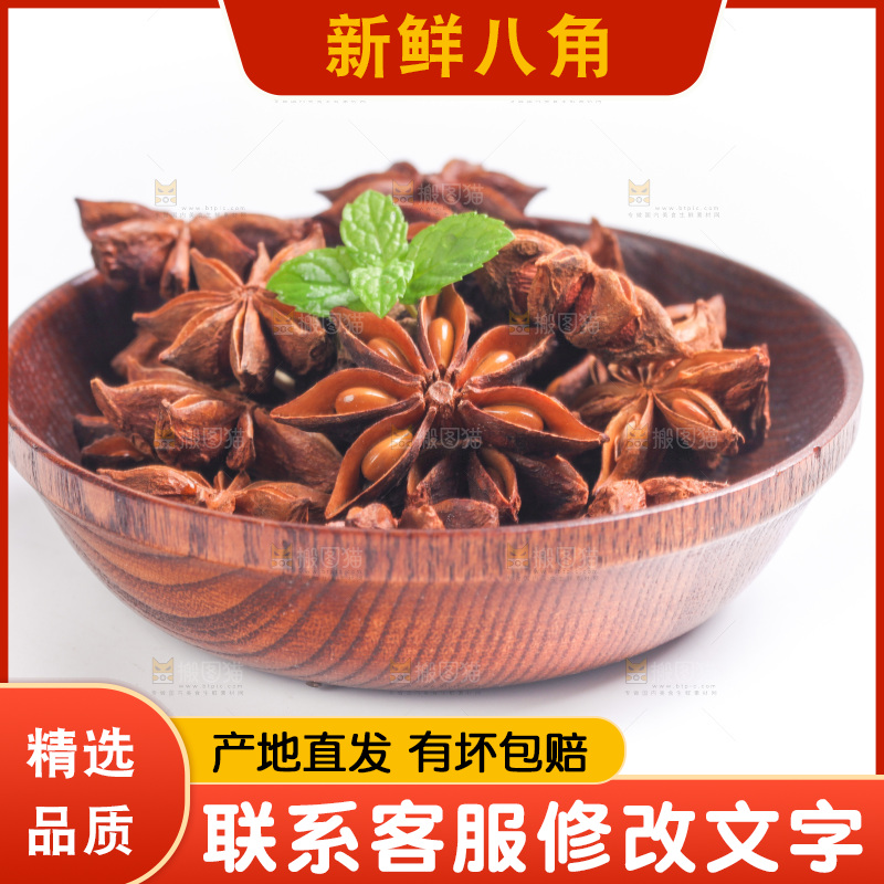 广西八角放在白底上