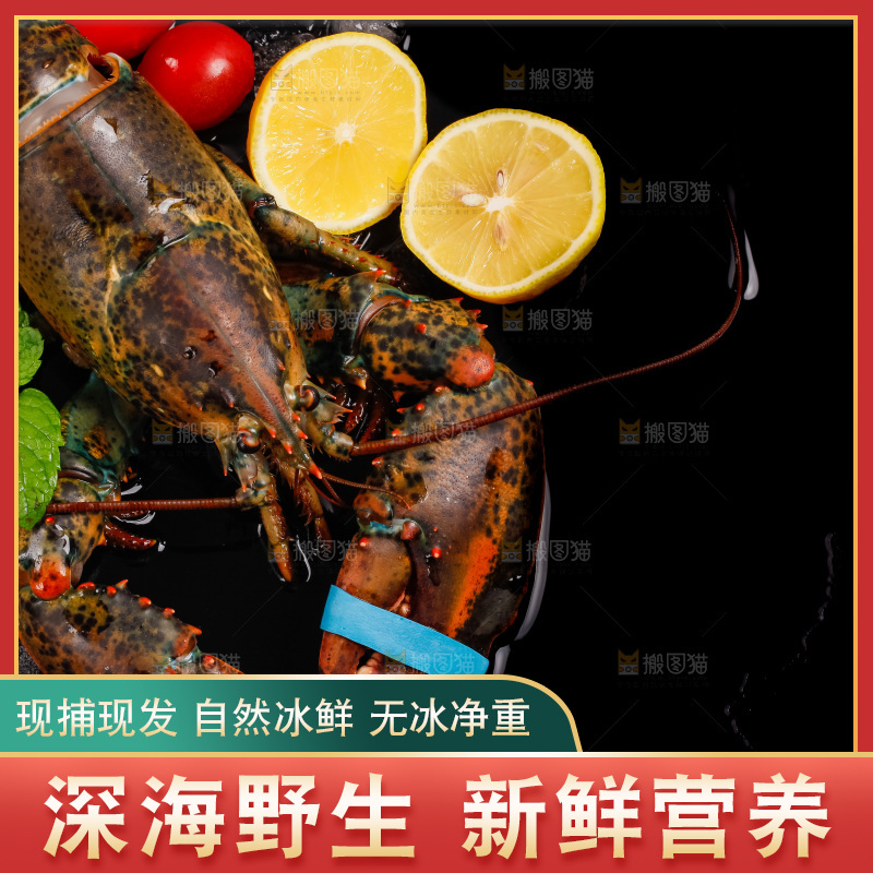 黑底上放着波士顿龙虾