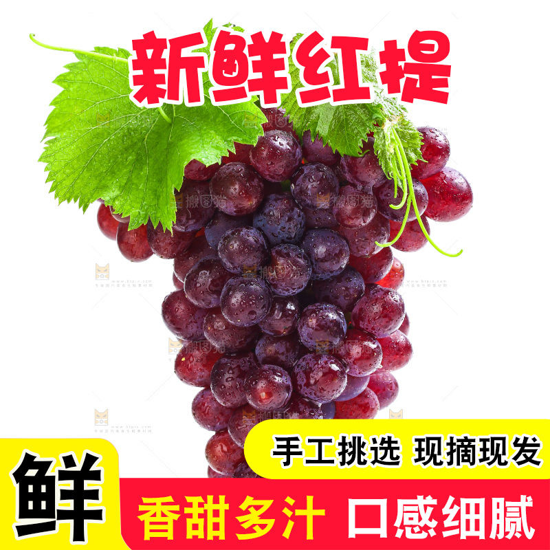 白底上的红提