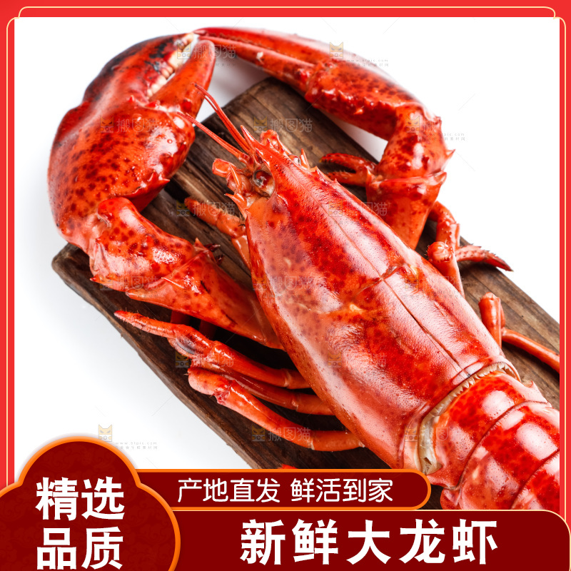 木底上的大龙虾