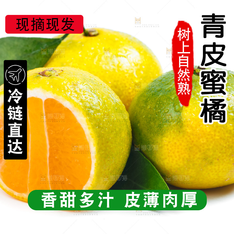 新鲜的青皮蜜橘放在白底上