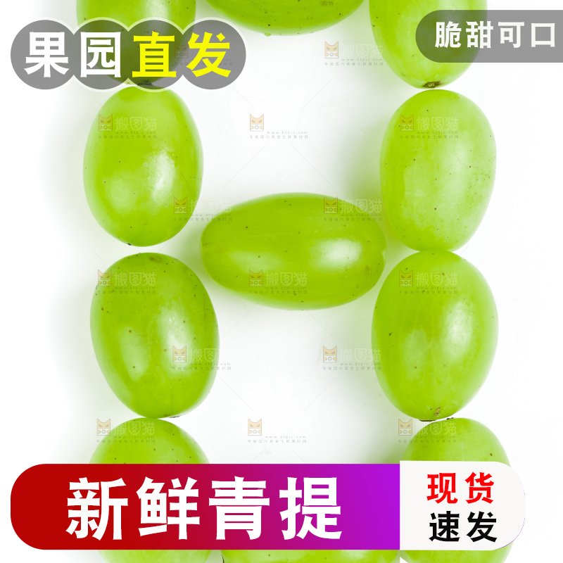 白底上放着维多利亚青提