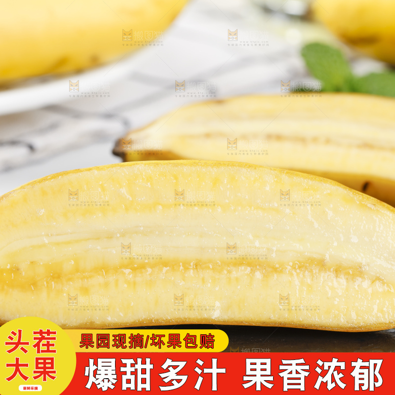 黑石板上的芭蕉