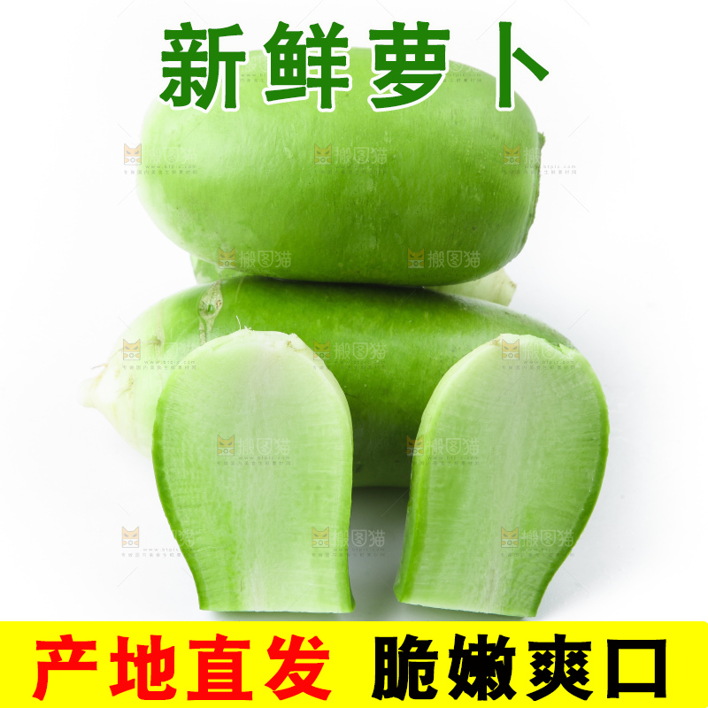 白底上的青萝卜