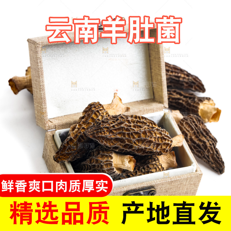 箱子里装着云南羊肚菌